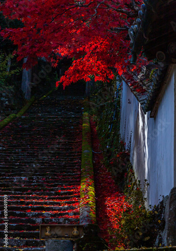 Autumn stairs with beautiful autumn leaves