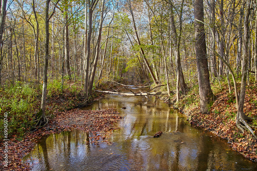 Autumnal Serenity in Indiana - Tranquil Creek Amid Woodland Foliage