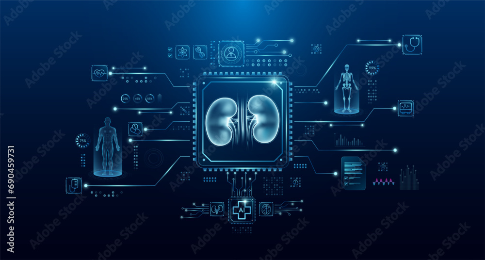 Kidney organ human in microchip processor circuit board. HUD interface hologram. Innovative health care analysis of AI technology digital hi tech. Modern treatment future medicine. Vector.