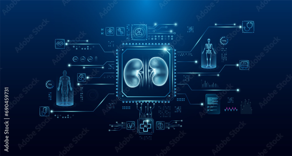 Kidney organ human in microchip processor circuit board. HUD interface hologram. Innovative health care analysis of AI technology digital hi tech. Modern treatment future medicine. Vector. Kidney organ human in microchip processor circuit board. HUD interface hologram. Innovative health care analysis of AI technology digital hi tech. Modern treatment future medicine. Vector.