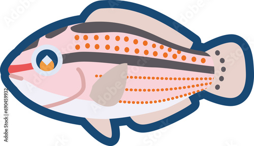 かわいいキュウセン（メス）のイラスト