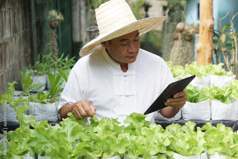 Asian man gardener is checking and inspecting quality, growth and plant diseases of organic salad vegetables by using smart tablet. Concept, Agriculture research. Learn from internet to develop crops.