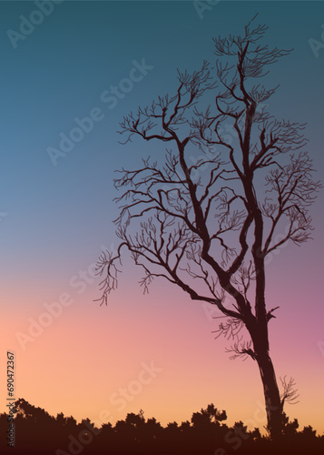 Black purple orange yellow gradient Sunset sky with silhouette tree  grass background illustration.