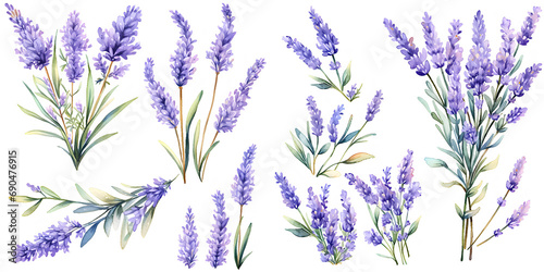 Lavender watercolor illustration clipart. Generative AI