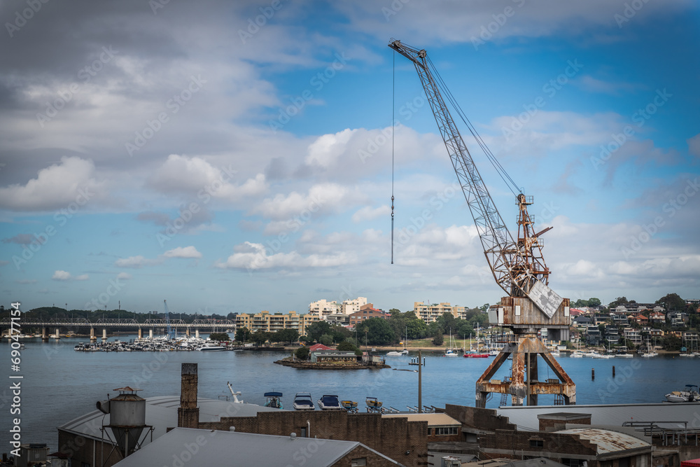 Fototapeta premium Cockatoo