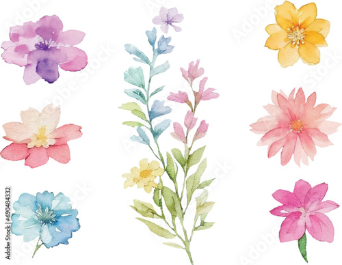 Watercolor floral clipart design vector 