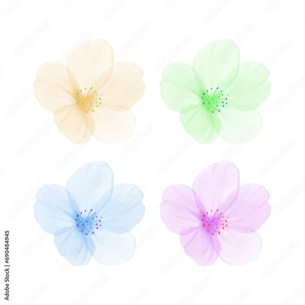 Vector colorful spring flower collections