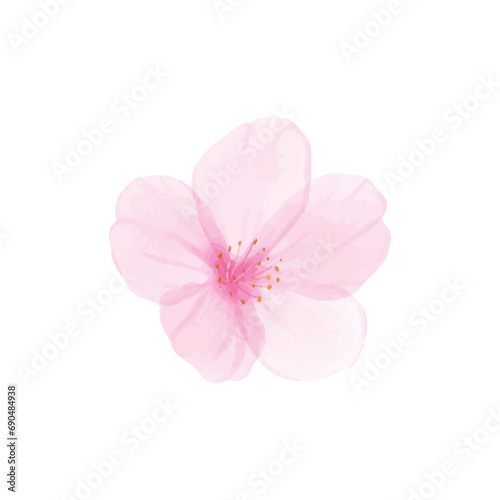 Vector branch of cherry blossom illustration watercolor painting sakura bud isolated on white