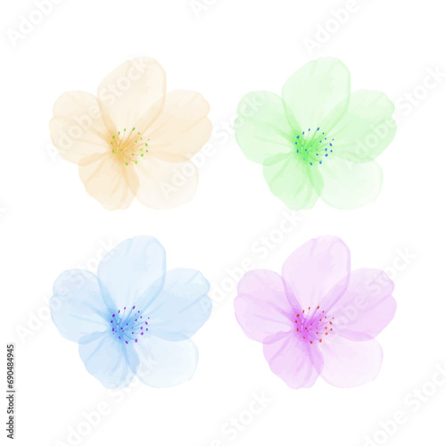 Vector colorful spring flower collections