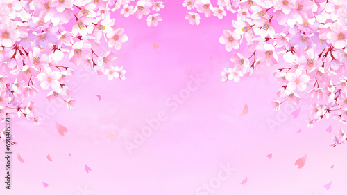 桜の背景素材 枠 桜吹雪 お花見 入学 卒業 入園 卒園 入社 ひな祭り ひなまつり 新春 16:9