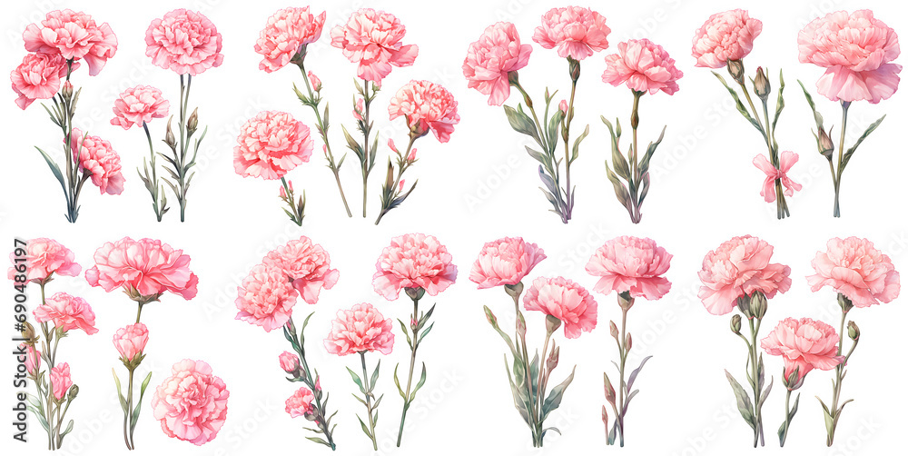 Pink carnation watercolor illustration clipart. Generative AI - obrazy, fototapety, plakaty 
