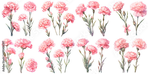 Pink carnation watercolor illustration clipart. Generative AI photo