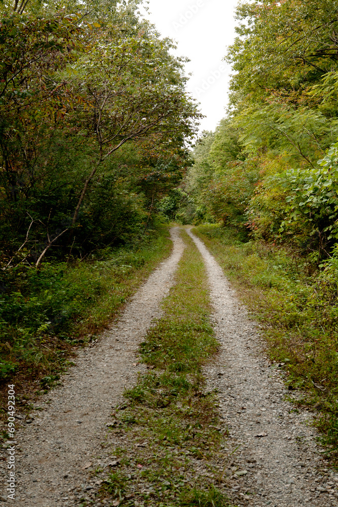 mountain path mountain path