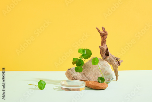 Pennywort leaves are decorated around a stone slab, a dry branch and a glass podium on a white table with a yellow background. Ideal space for cosmetic advertising.