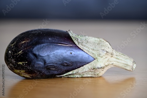 Isolated close up of a single but cute small eggplant set on the studios table