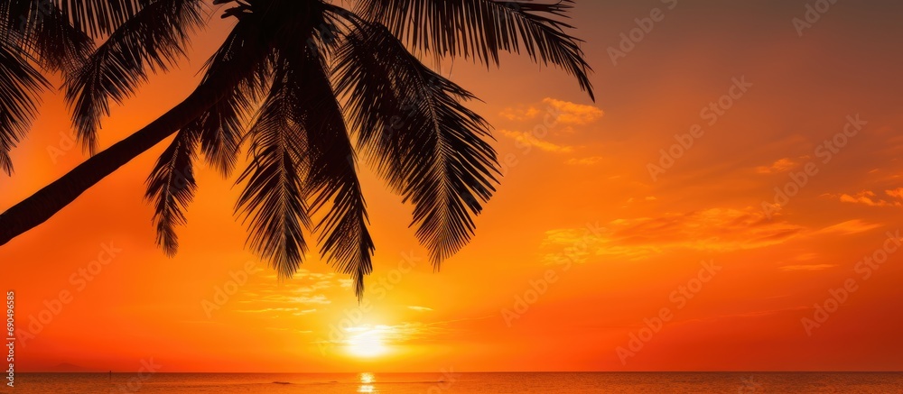 Photo of tropical landscape with palm tree silhouetted against golden sunrise/sunset; orange/yellow gradient sky with clouds.