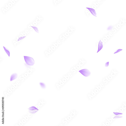 Vector purple leaf vector panoramic on white background