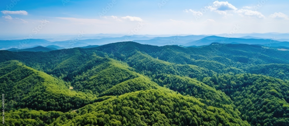 Bright summer day with dense green lush woods covering mountain hills in aerial view. - obrazy, fototapety, plakaty 