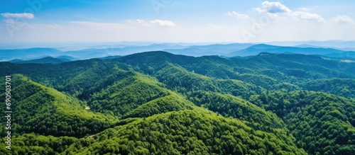 Bright summer day with dense green lush woods covering mountain hills in aerial view.
