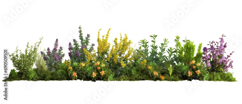 beautiful greenery and shrubbery, with small colorful flowers isolated on transparent background #690509501