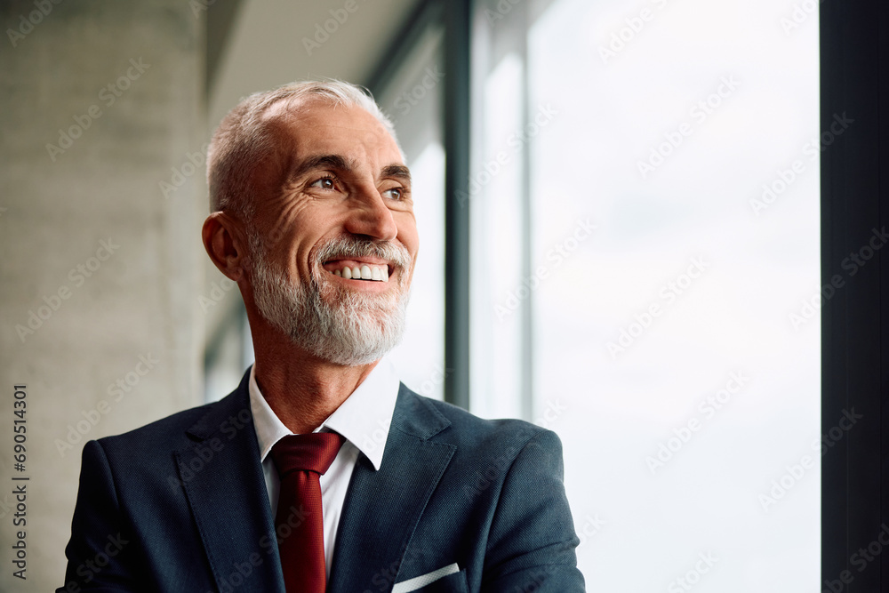 Happy mature businessman in office looking away. Happy mature businessman in office looking away.