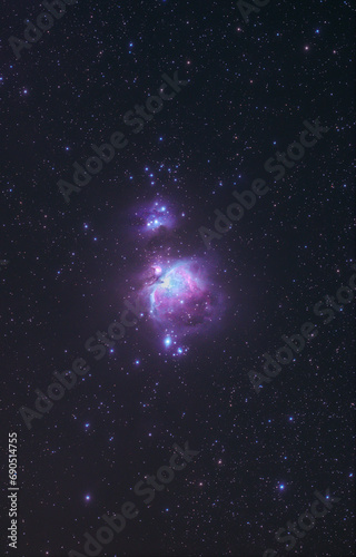 Fototapeta Naklejka Na Ścianę i Meble -  Orion Nebula