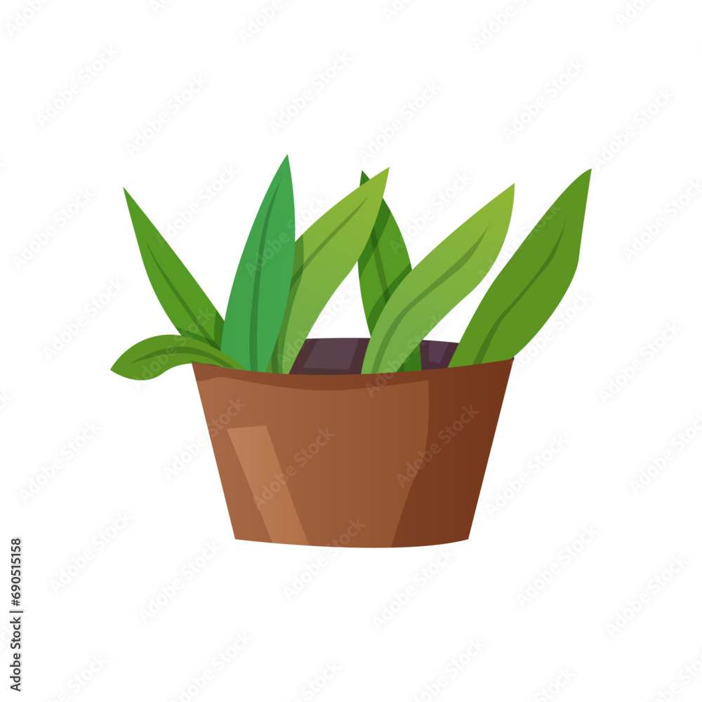 Vector flat houseplant on white background Vector flat houseplant on white background
