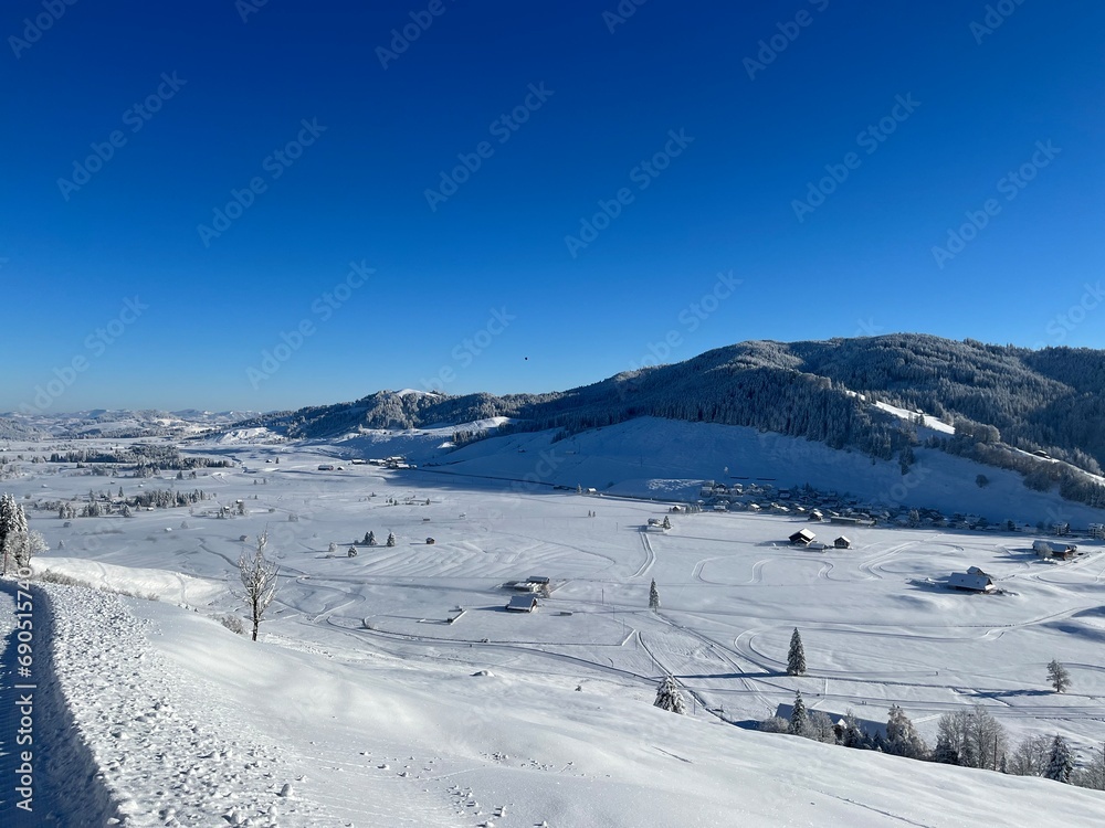 Winter wonderland snow covered environment 