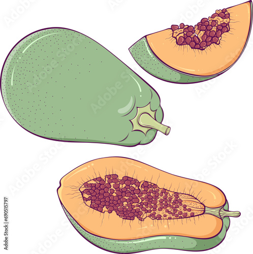 Set of colorful papaya. Ripe sweet whole, sliced with seeds, half of Carica papaya. Vector illustration in cartoon style isolated on white. Natural and healthy food