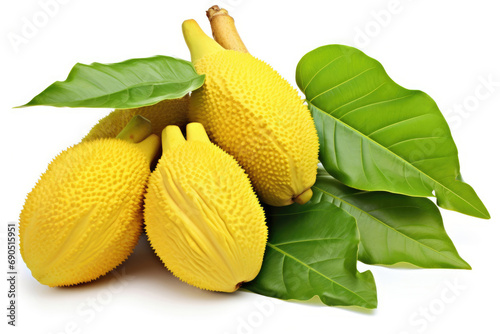Jackfruit with leaves on white background photo