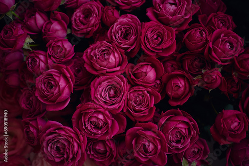 Close-up of a bouquet of dark pink roses on a black background