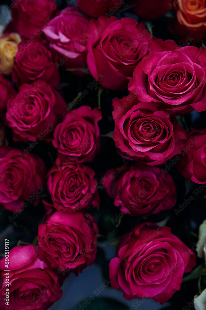 Obraz premium bouquet of pink roses in full bloom, with petals of a deep pink hue. The background is blurred, subtly revealing some orange roses