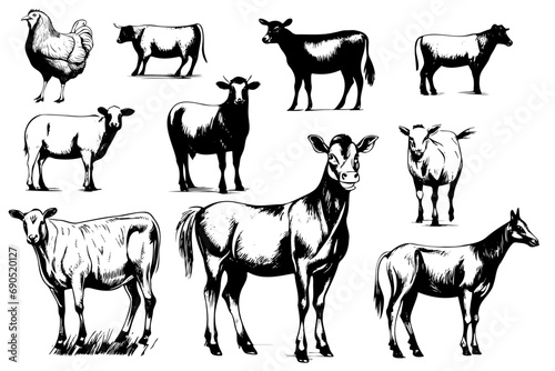 Farm animals collection illustration drawing style, sketch © Екатерина Переславце