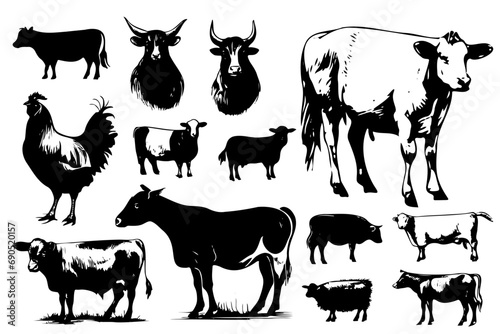 Set Farm animals. Vector sketches hand drawn illustration background. Advertising and design of flyers, booklets. Linear art style. photo