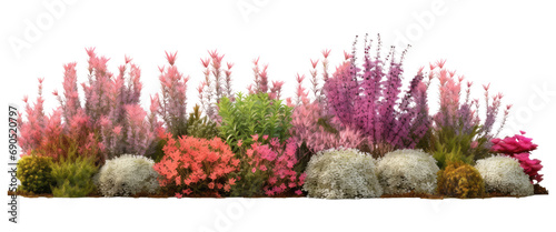 Photo Flowering shrubs and greenery in garden isolated on transparent background