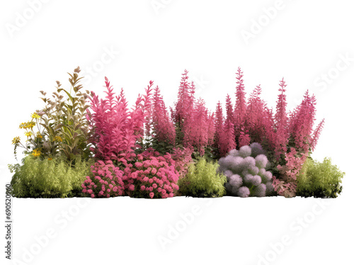 Flowering shrubs and greenery in garden isolated on transparent background