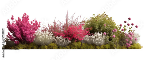 Flowering shrubs and greenery in garden isolated on transparent background © kharom