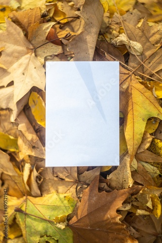 Autumn layout   mockup with yellow and orange leaves with postcard for your text