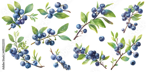 blueberry branch in watercolor illustration clipart. Generative AI photo