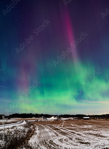 Aurora borealis over fields