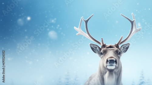 Reindeer on the blue background in the style of minimalism. © VesnAI