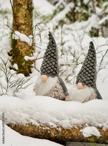 Elves in forest in winter