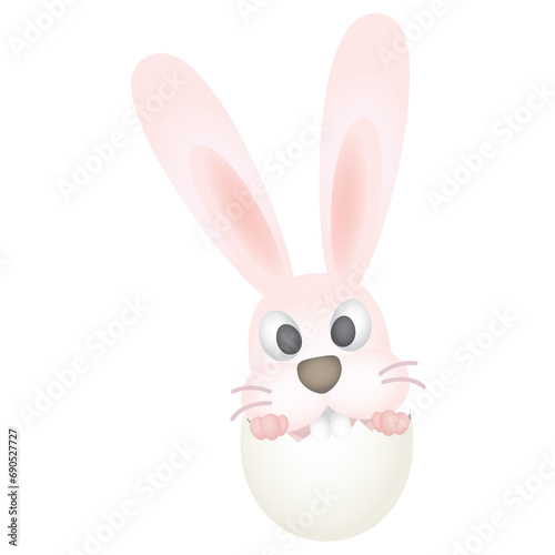 Little rabbit in egg shell isolated © Wasitt