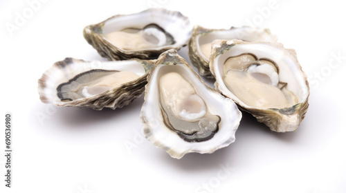 Oysters isolated on white background