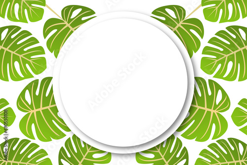 Monstera leaf background