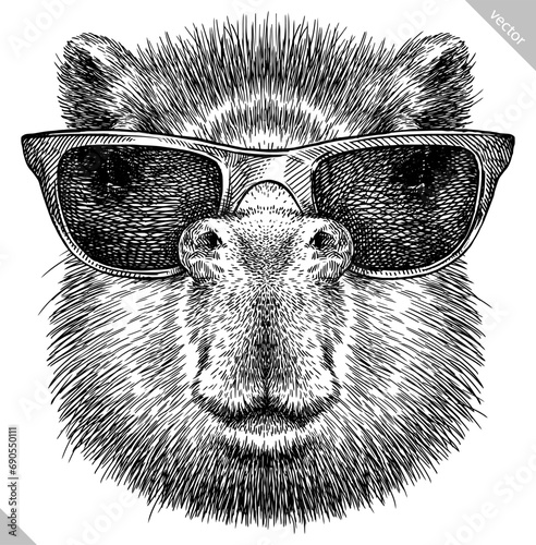 Vintage engraving isolated capybara glasses dressed fashion set illustration rodent ink sketch. Gnawer background silhouette sunglasses hipster hat art. Black and white hand drawn vector image