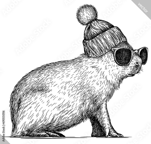 Vintage engraving isolated capybara glasses dressed fashion set illustration rodent ink sketch. Gnawer background silhouette sunglasses hipster hat art. Black and white hand drawn vector image