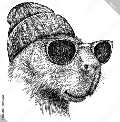 Vintage engraving isolated capybara glasses dressed fashion set illustration rodent ink sketch. Gnawer background silhouette sunglasses hipster hat art. Black and white hand drawn vector image