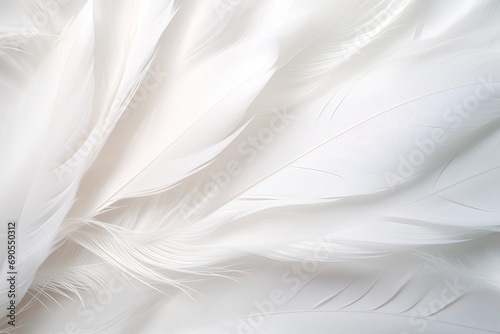 White Background White background Wallpaper White background Photo White Background Image White Background Illustration