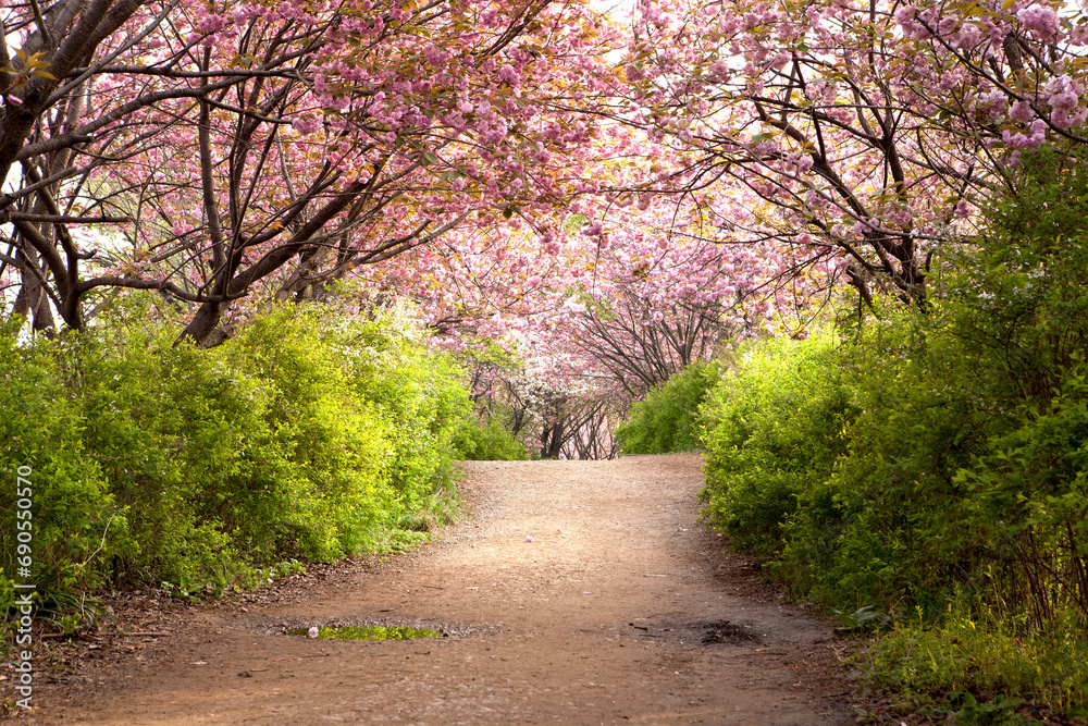 a beautiful walk a beautiful walk
